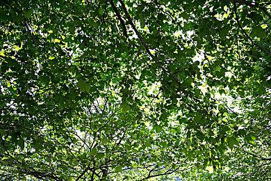 《GTA6》近期传闻汇总：故事更接地气 有大量支线