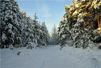《对马岛之鬼：导演剪辑版》壹岐岛预告、剧情介绍