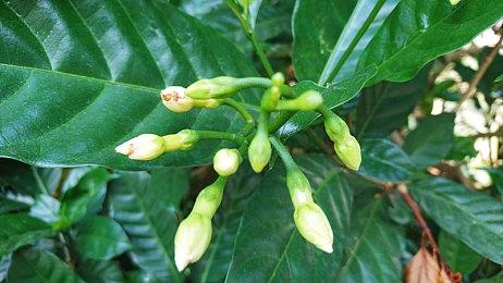 居然还有更新！《赤痕：夜之仪式》增加新模式和外观 DLC